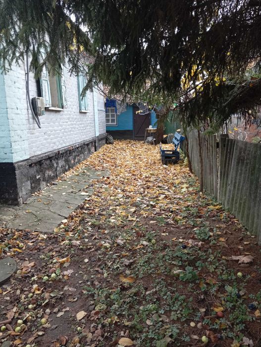 Будинок в Диканька ,опалення пічне+ газ,з енергонезалежним котлем