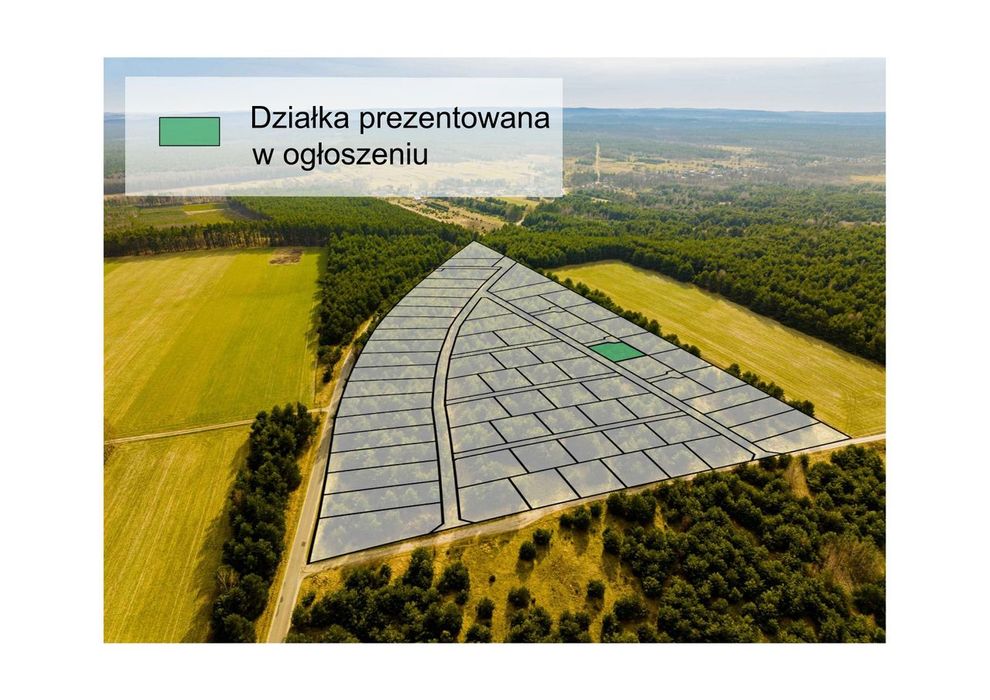 Wyjątkowa oferta na Jurze!