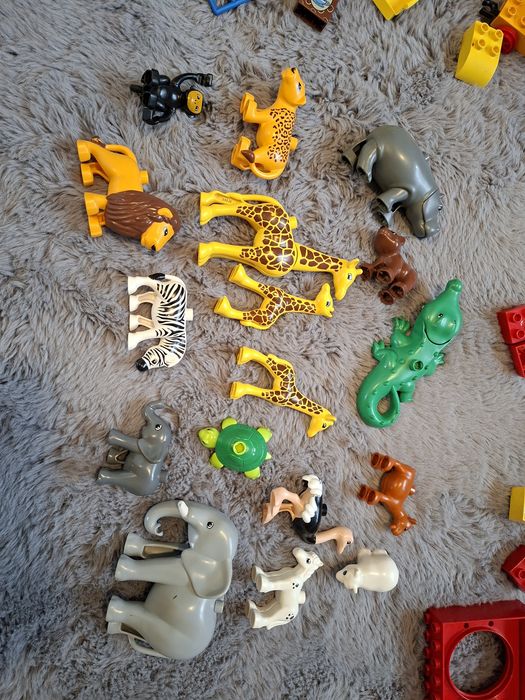 Duży zestaw klocków lego duplo