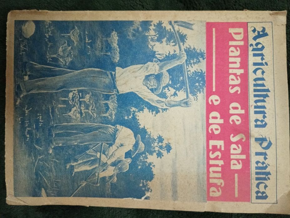 Plantas de Sala e de Estufa-4 Coleção Agricultura Prática -Toledano,