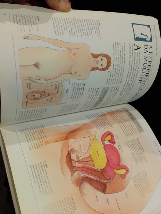 A Saúde da mulher - Biblioteca Médica da Família