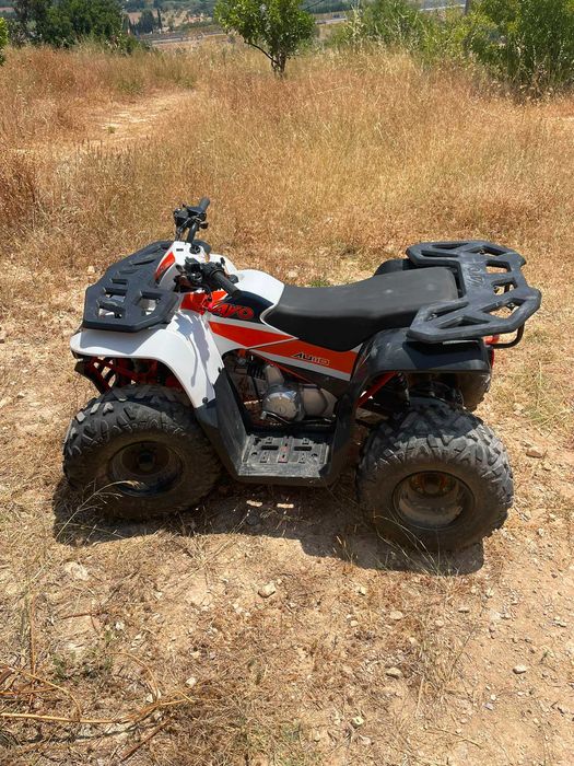 2024 Kayo au110 (110cc quad)
