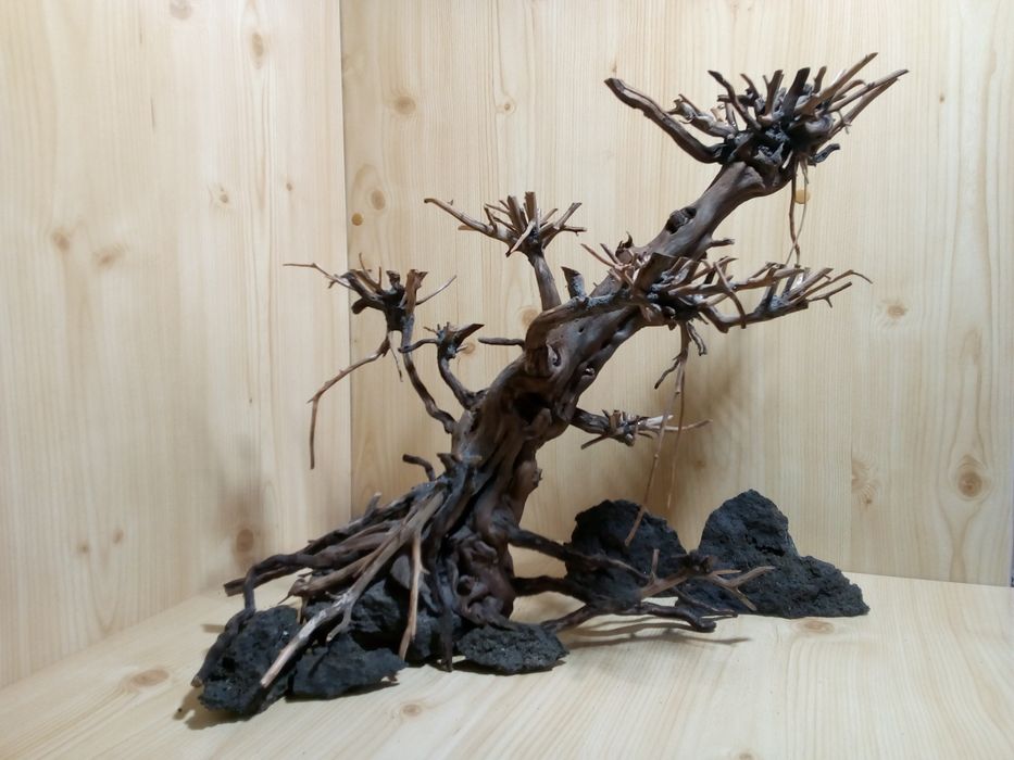 Акваріумний бонсай aqua bonsai акваріумні декораціі