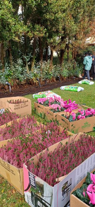 Jardins Costa | Jardinagem e paisagismo