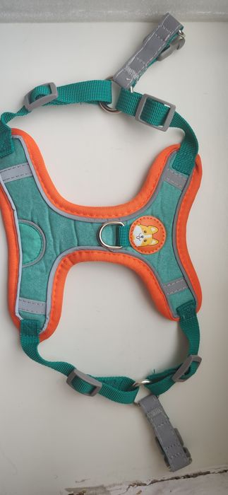 Ошийник для собак