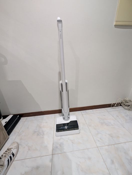 Aspirador/mopa vertical Rowenta X10 clean