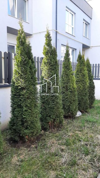 Продаж / Таунхаус / садова, Сокільники