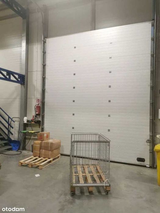 Wynajmę od 100 do 700 m Hali magazynowej