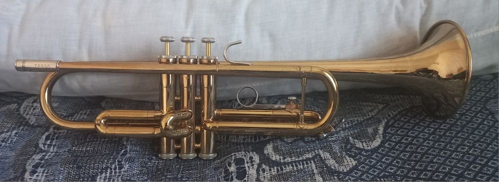 Труба Bach TR300