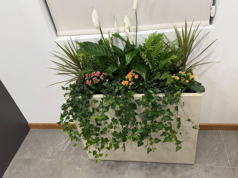 Floreira Moderna com Plantas Naturais