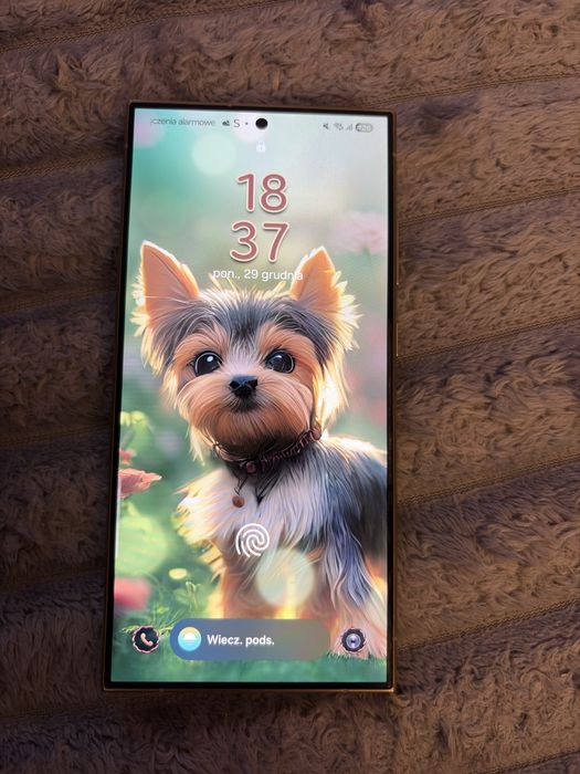 Samsung Galaxy S24 Ultra 12/256 GB