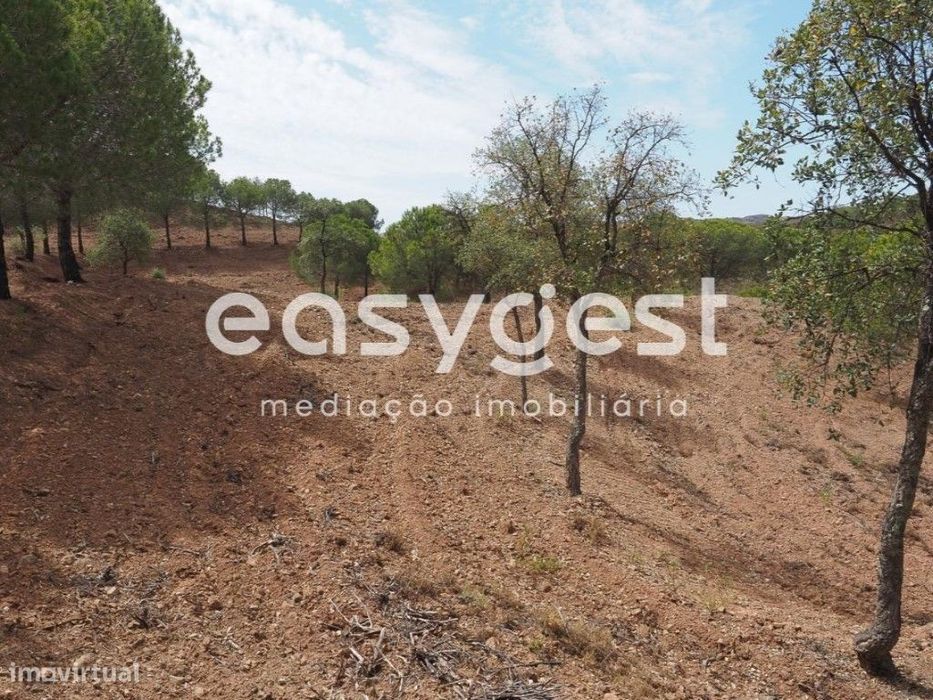 Terreno agrícola com pinheiros, oliveiras e sobreiros em Atalaias