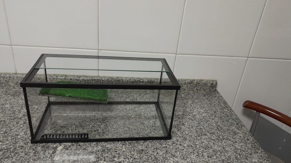 Aquário para tartaruga/cágado e com proteção em vidro.