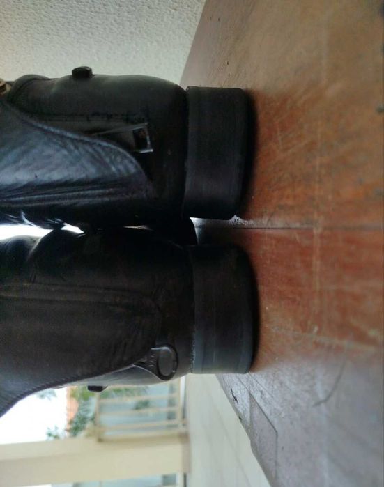 Botas de montar Celeris 41