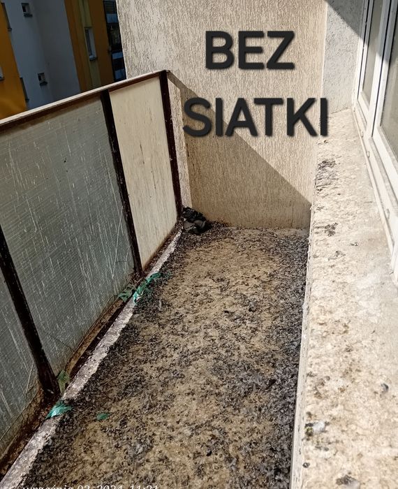 Siatka zabezpieczająca balkon, siatka dla kota