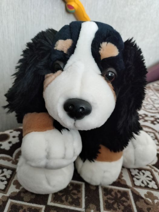 Бомбезна вівчарка.