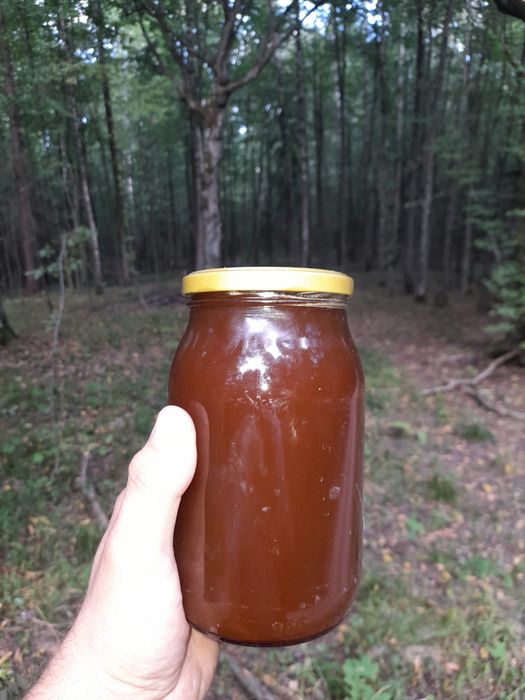 Miód  organiczny z Podlasia .