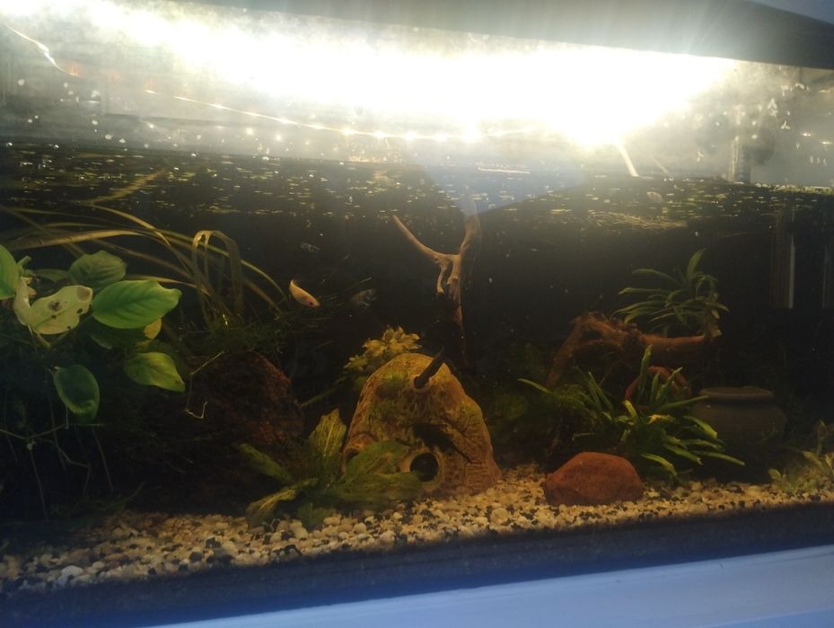 Akwarium 120 l szczelne