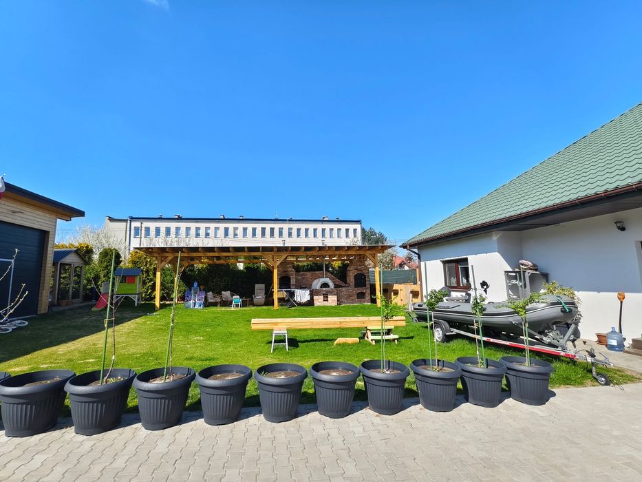Dom – Tuszyn, powiat łódzki wschodni - Widok 5