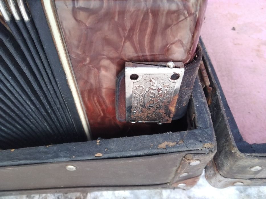 Аккордеон Украина.