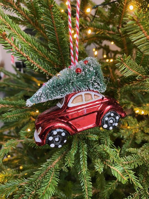 Okazałe choinki z dowozem i wniesieniem