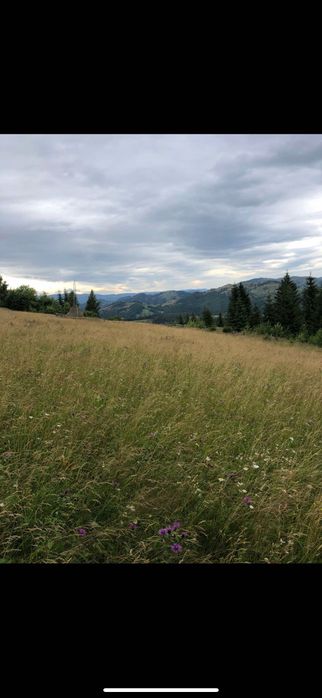 Земельна ділянка