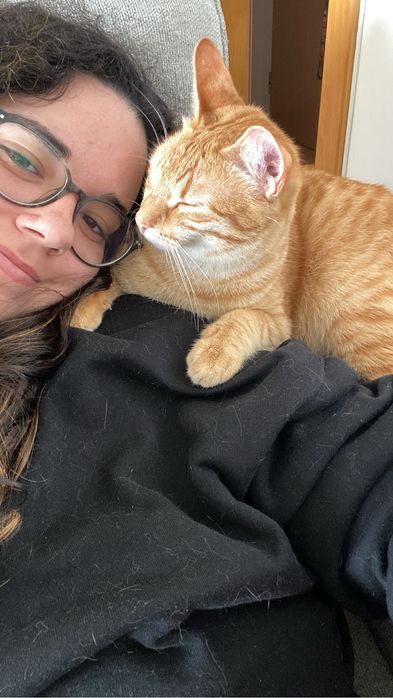 Catsitting em Lisboa