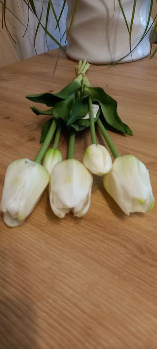 Bukiet tulipana gumowego nowy biały
