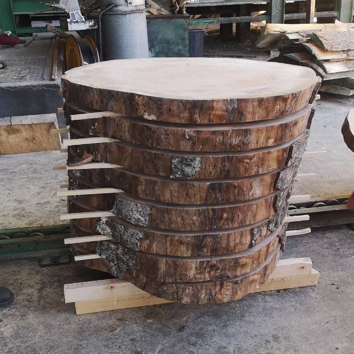 Rodelas ou fatias de madeira várias dimensões