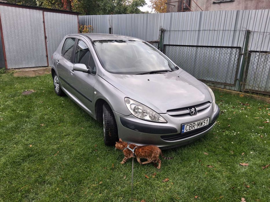 Peugeot 307 SW