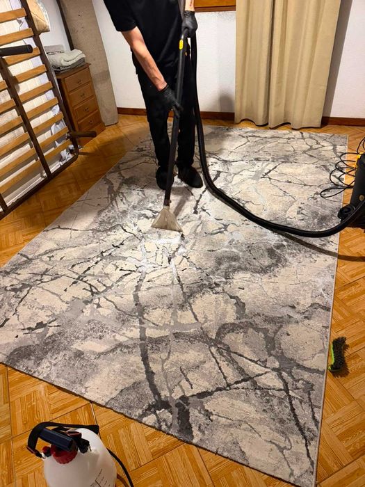 Limpeza Profissional de Sofás ao Domicílio no Porto