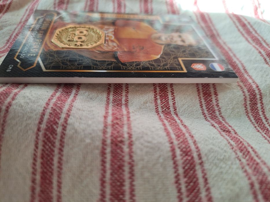 Relic Card - Robin van Persie - Match Attax UEFA Euro 2024