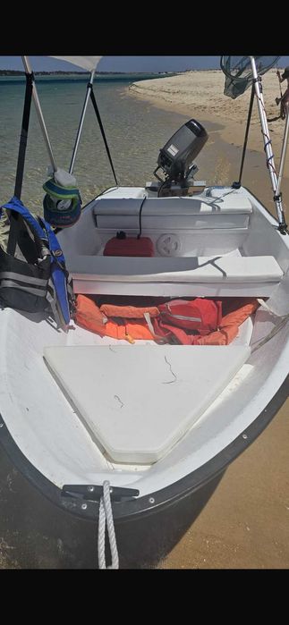 Barco com motor suzuki 15cv