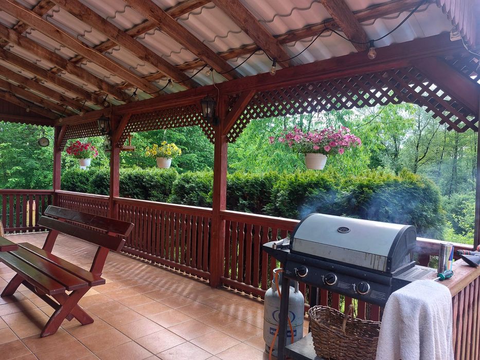 Domek do wynajęcia - Zygmuntówka w lesie!