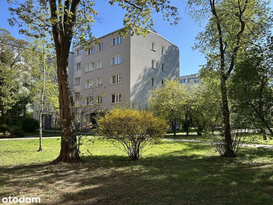 Widna kawalerka | Osobna kuchnia | Możliwe 2pok I Blisko WUM I Bezpośr