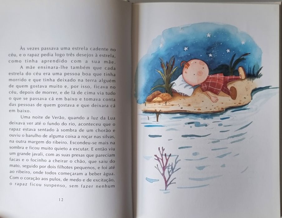 O Segredo do Rio - Miguel Sousa Tavares