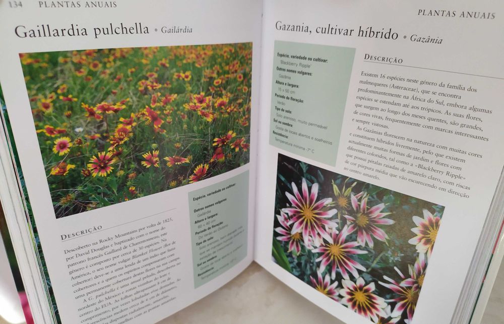 Guia Compacto de Plantas Anuais