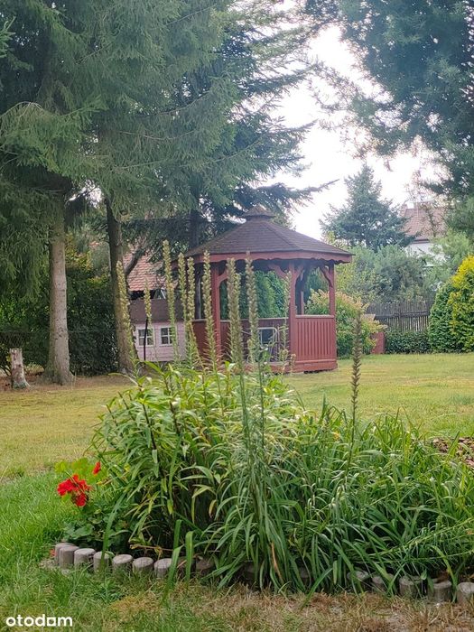 Działka Marysin Wawerski "Biały Kruk"
