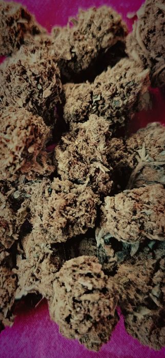 35 gram suszu CBD AK-47 MOCNY