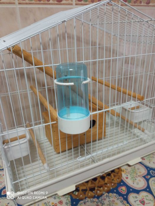 Gaiola para hamster + gaiola p ficheres ou papagaio etc.