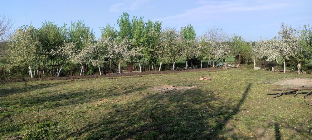 Незавершене будівництво і земельна ділянка