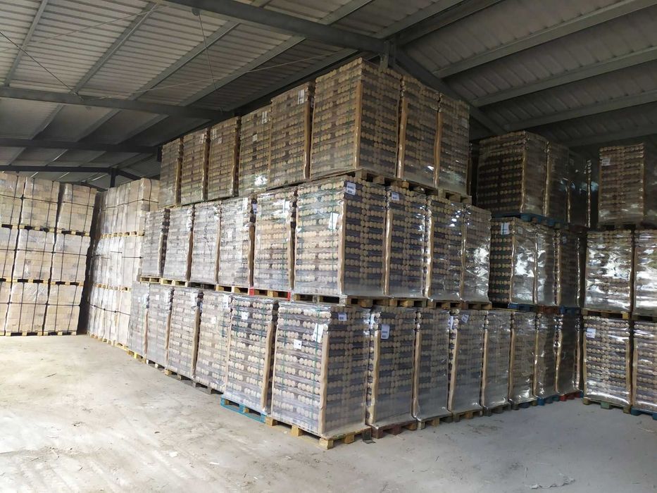 Drewno kominkowe opałowe DĄB GRAB BRZOZA OLCHA transport gratis