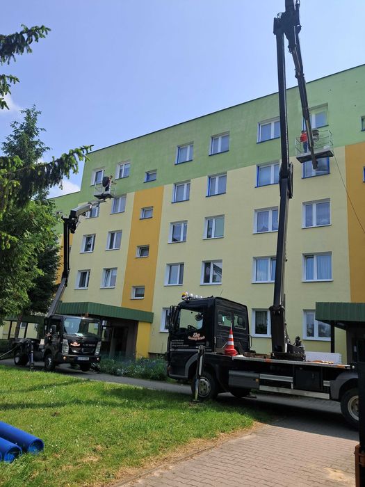 Wycinka, podcinka drzew