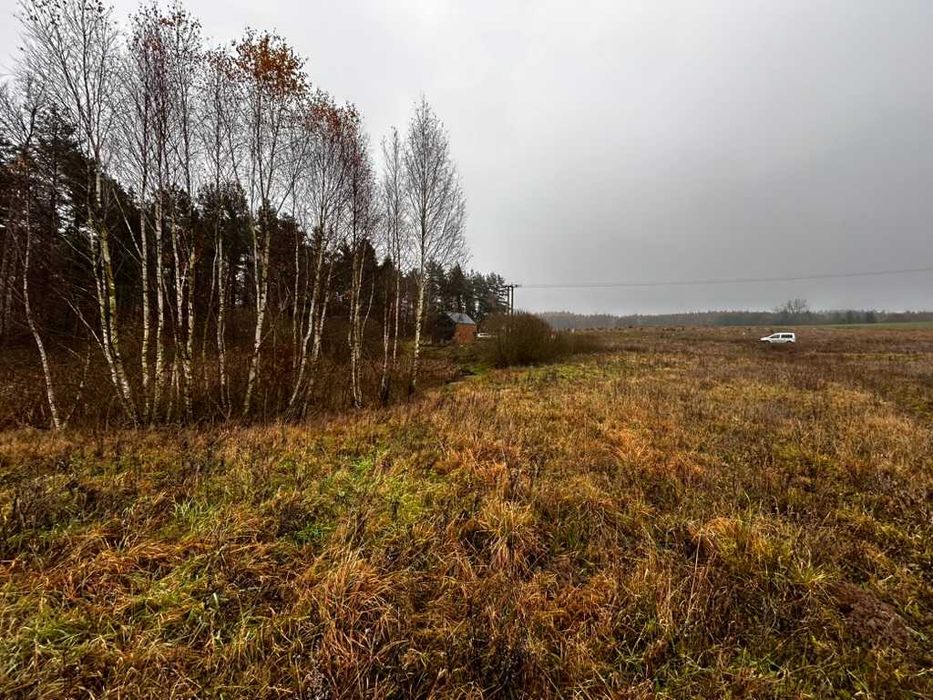 Działka 3000 m² z linią brzegową stawu, przy lesie | Szczodrowo