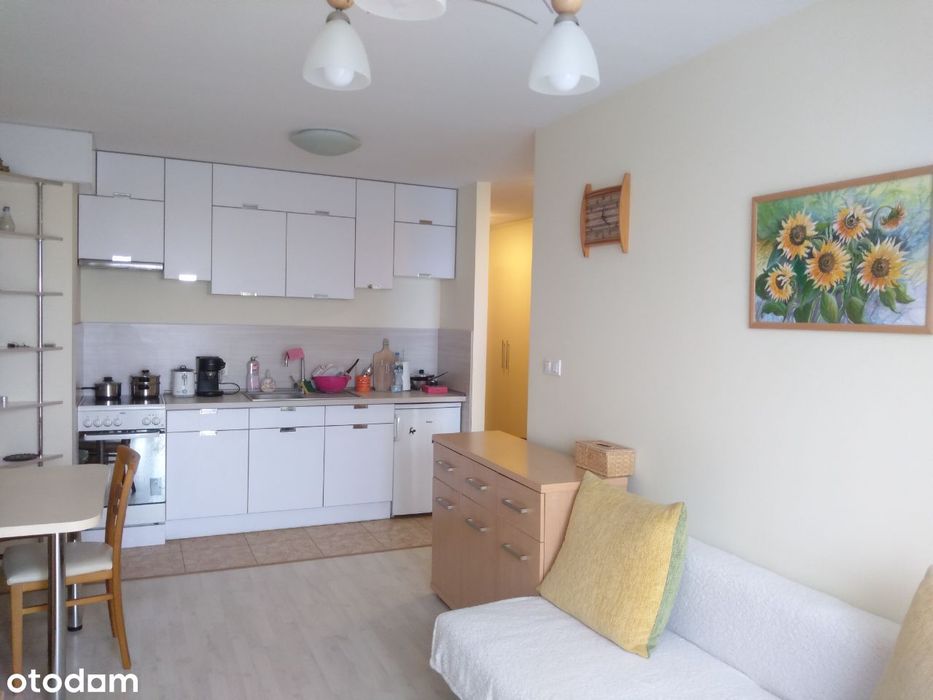 Dwupokojowe mieszkanie z aneksem 40 M2
