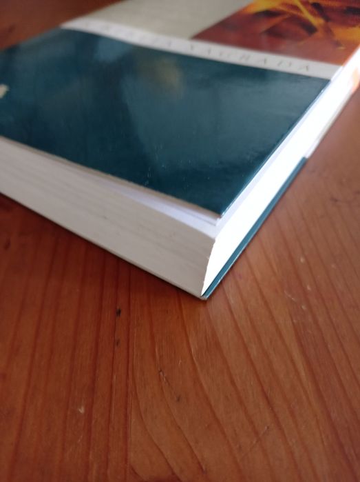 A bíblia sagrada - velho testamento e novo testamento