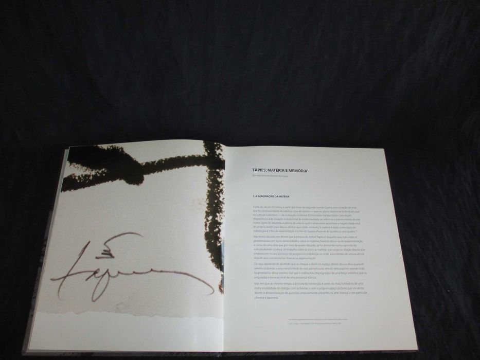 Livro Tàpies Galeria Fernando Santos
