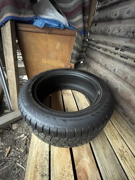 Шини Bridgestone R19