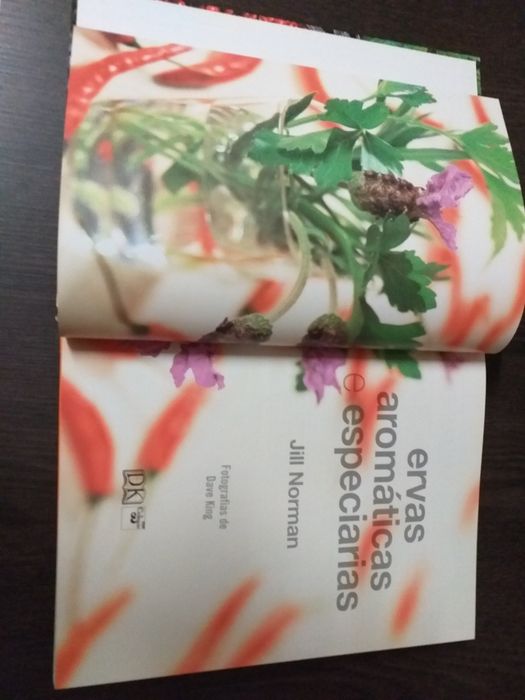 NOVO Livro Ervas aromáticas e especiarias a referência do cozinheiro,336 pág.valor fixo não manuseado imaculado veja zonas