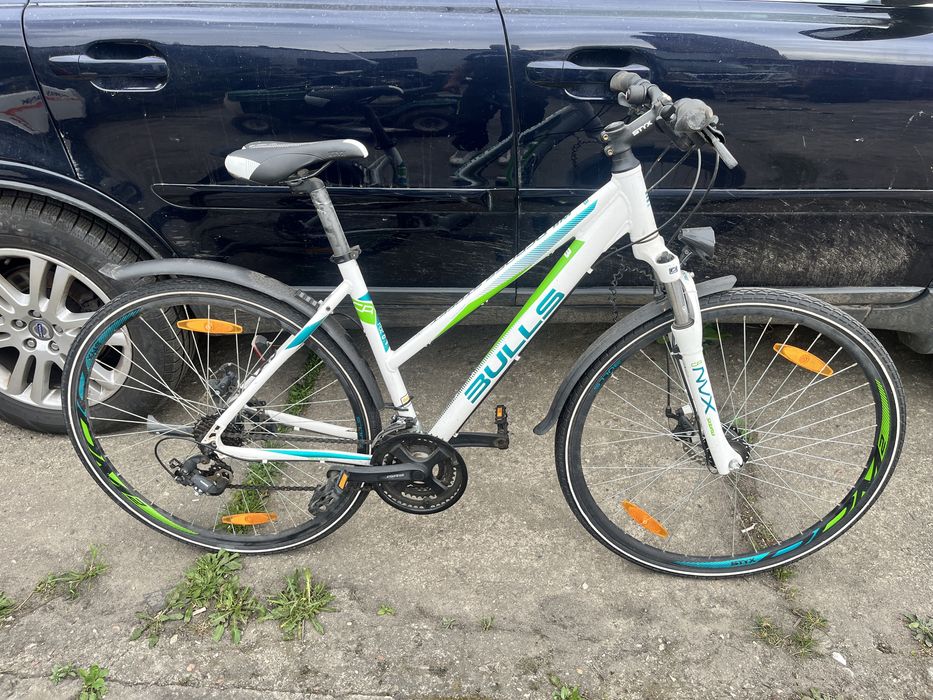 Rower Bulls Wildcross Street